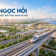 Ga ngoc hoi